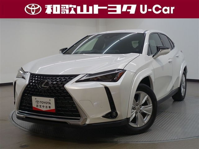 UX250h バージョンC