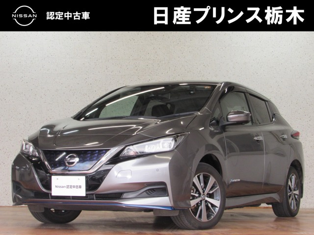 リーフe+ X