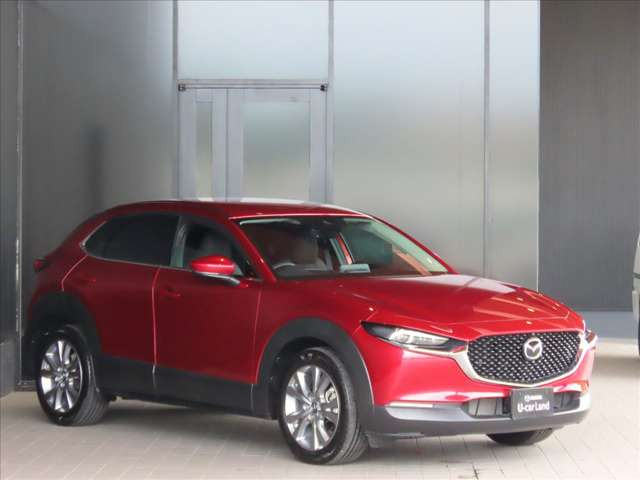 CX-302.0 20S プロアクティブ