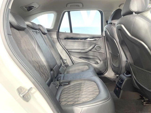 ���㕔���Ȃ��C�ɂȂ�悤�ȃL�Y�E�����ւ��蓙�A�傫�ȃ_���[�W�͂Ȃ��A�ǍD�ȏ�Ԃł��B