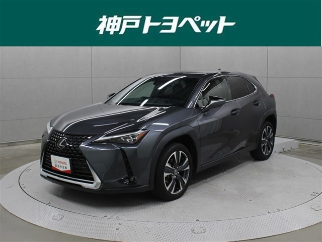 UX250h バージョンL