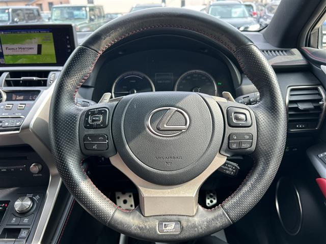 NX300h Fスポーツ
