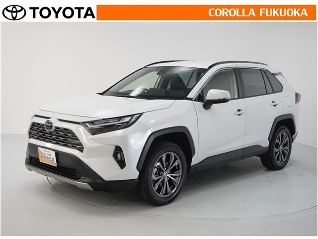 RAV42.5 ハイブリッド G E-Four 4WD