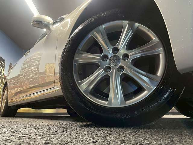 ����17�C���`�A���~�z�C�[��!�A���~�̃R�[�e�B���O��������܂�!���ꂪ���ȃA���~�z�C�[�������S�ł�!!