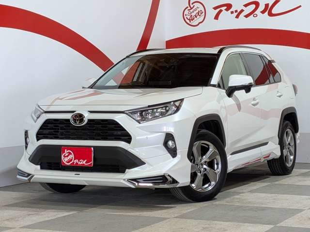 RAV42.0 X 4WD