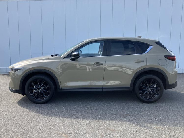 CX-52.0 20S ブラックトーンエディション