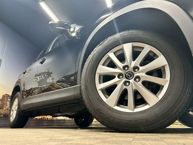 ����17�C���`�A���~�z�C�[��!�A���~�̃R�[�e�B���O��������܂�!���ꂪ���ȃA���~�z�C�[�������S�ł�!!