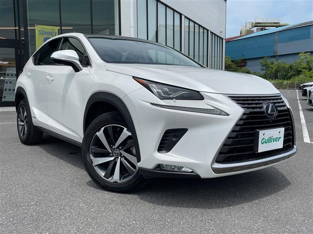 NX300h Iパッケージ