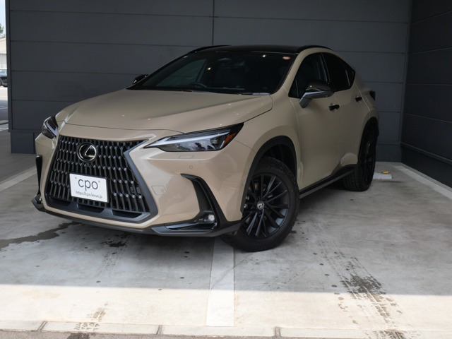 NX450hプラス オーバートレイル 4WD