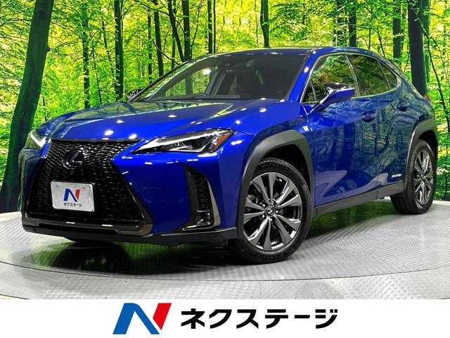 UX(���N�T�X) 250h F�X�|�[�c ���Îԉ摜