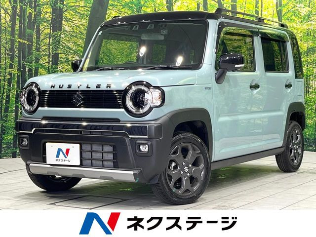 ハスラータフワイルド