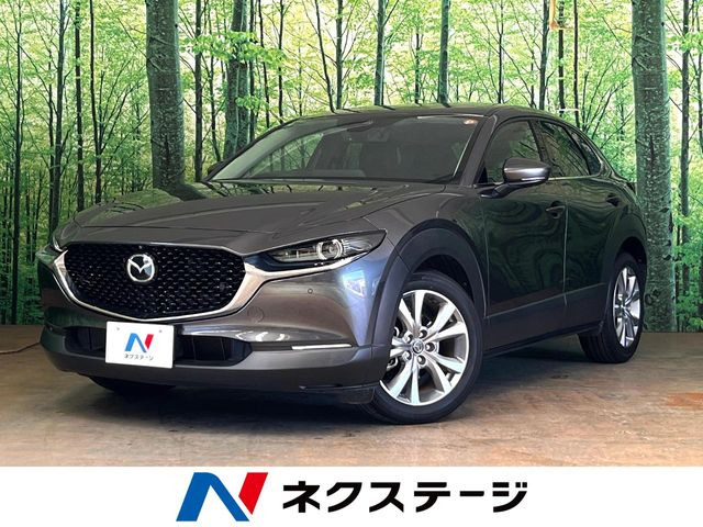 CX-30(�}�c�_) 2.0 20S �v���A�N�e�B�u �c�[�����O�Z���N�V���� ���Îԉ摜