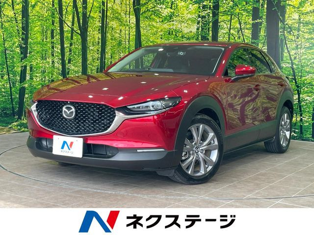 CX-301.8 XD プロアクティブ