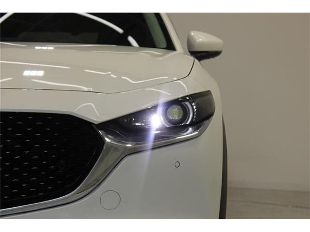 �ቿ�i�ŗǎ��Ȃ��Ԃ�S�Б���3,000�݌ɂ��炨�I�т��������܂��B�c�Ǝ��� 10:00�`19:00