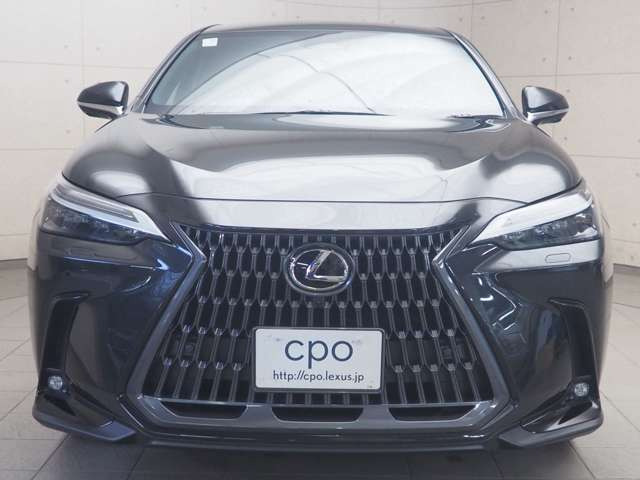 NX350h バージョンL