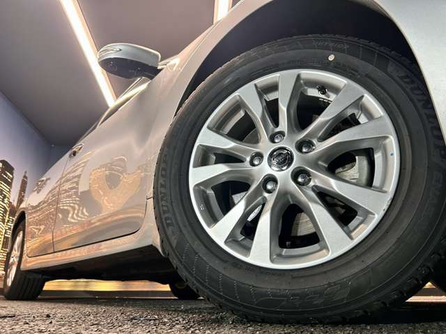 ����16�C���`�A���~�z�C�[��!�A���~�̃R�[�e�B���O��������܂�!���ꂪ���ȃA���~�z�C�[�������S�ł�!!