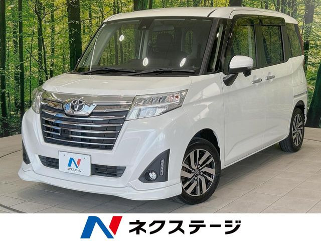 ���[�~�[�i�g���^�j1.0 �J�X�^�� G S ���Îԉ摜