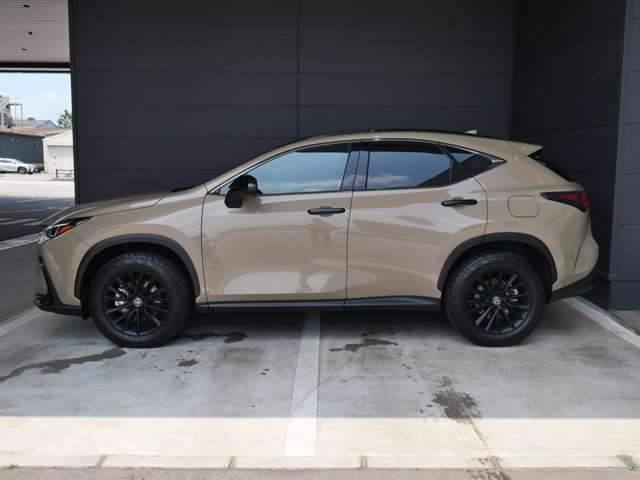 NX450hプラス オーバートレイル 4WD