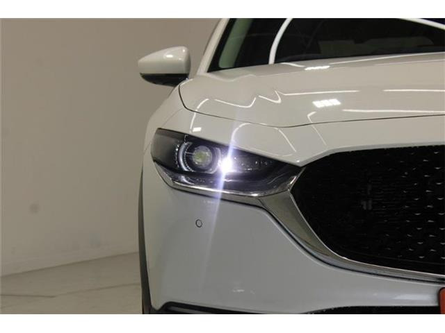 �ቿ�i�ŗǎ��Ȃ��Ԃ�S�Б���3,000�݌ɂ��炨�I�т��������܂��B�c�Ǝ��� 10:00�`19:00