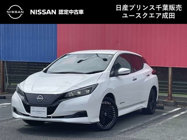リーフe+ X