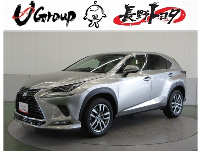 NX300 バージョンL 4WD