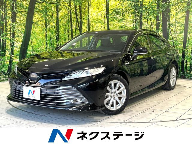 �A���e�B�X(�_�C�n�c) 2.5 G ���Îԉ摜