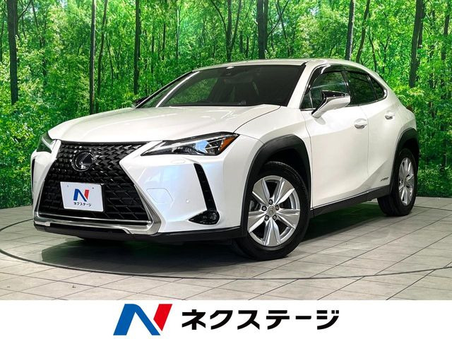 UX(���N�T�X) 250h �o�[�W����C ���Îԉ摜