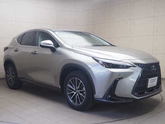 NX