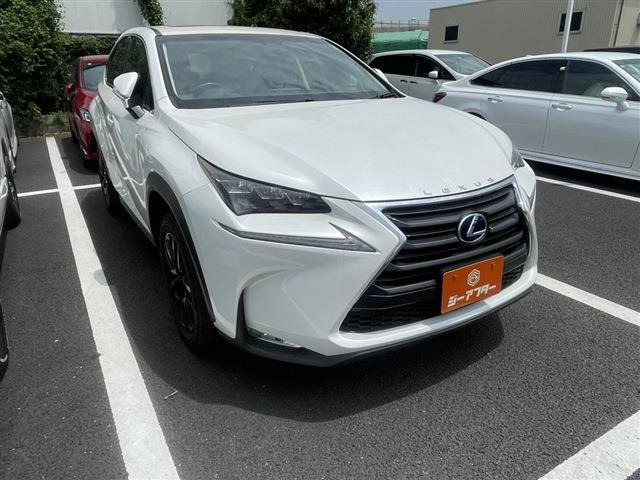 NX(���N�T�X) 300h �o�[�W����L�@�։��� �T�����[�t �Փ˔�Q�y���V�X�e�� ���Îԉ摜