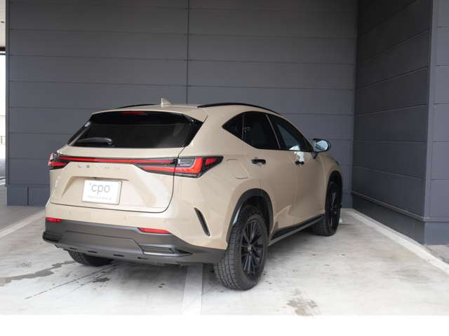 NX450hプラス オーバートレイル 4WD
