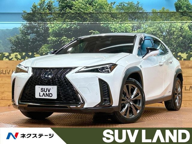 UX(���N�T�X) 250h F�X�|�[�c ���Îԉ摜