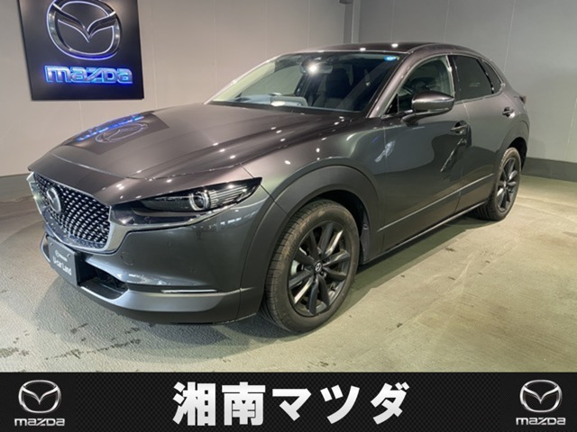 CX-302.0 20S プロアクティブ
