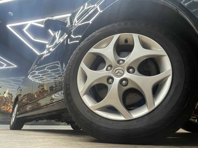 ����16�C���`�A���~�z�C�[��!�A���~�̃R�[�e�B���O��������܂�!���ꂪ���ȃA���~�z�C�[�������S�ł�!!