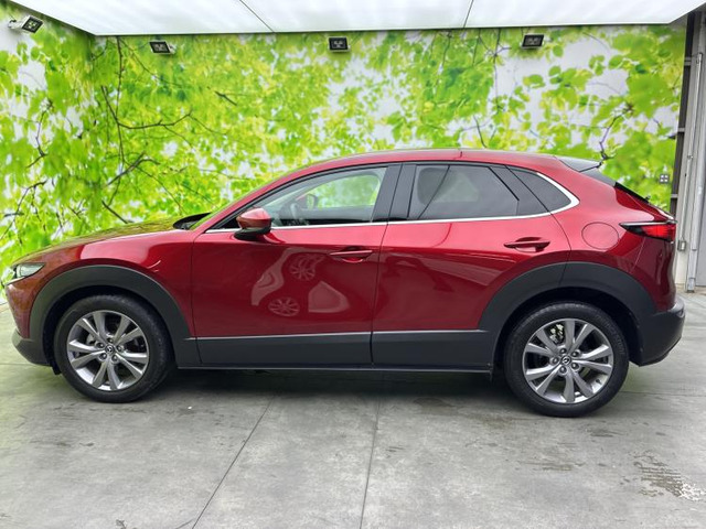 CX-302.0 20S プロアクティブ
