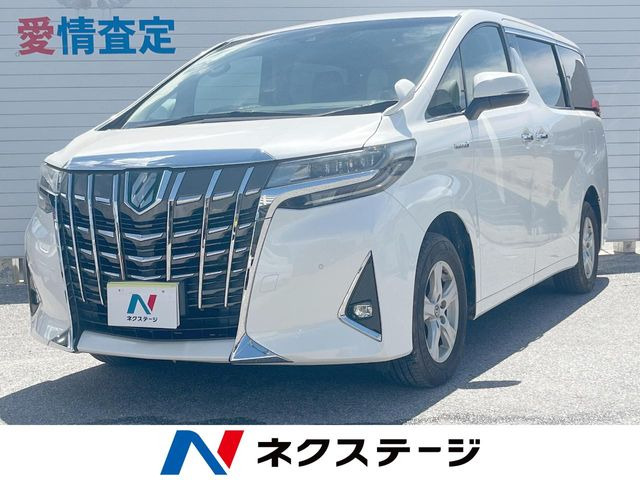 �A���t�@�[�h(�g���^) �n�C�u���b�h 2.5 X ���Îԉ摜
