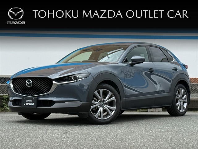 CX-302.0 20S プロアクティブ