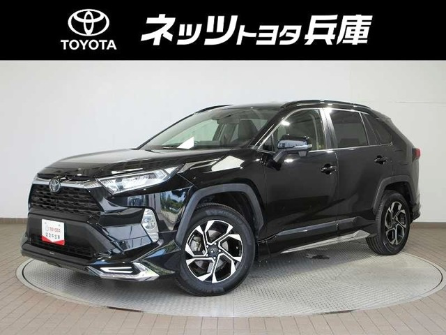 RAV42.0 X