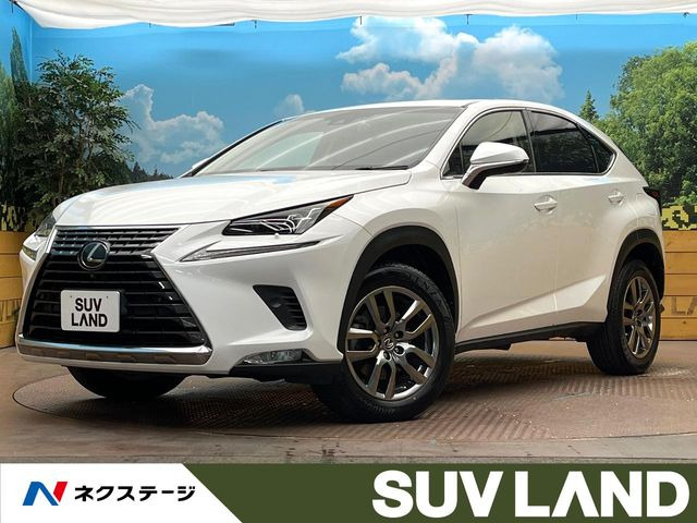 NX300 バージョンL