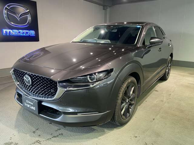 CX-302.0 20S プロアクティブ