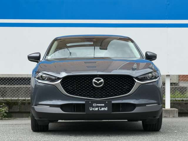 CX-302.0 20S プロアクティブ