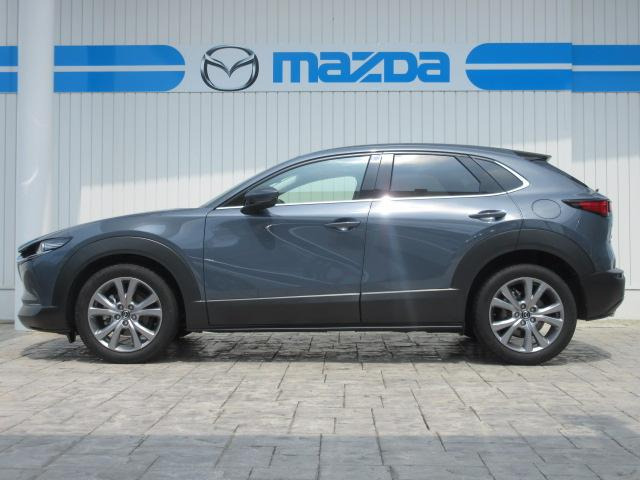 CX-301.8 XD Lパッケージ