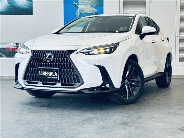 NX350h バージョンL