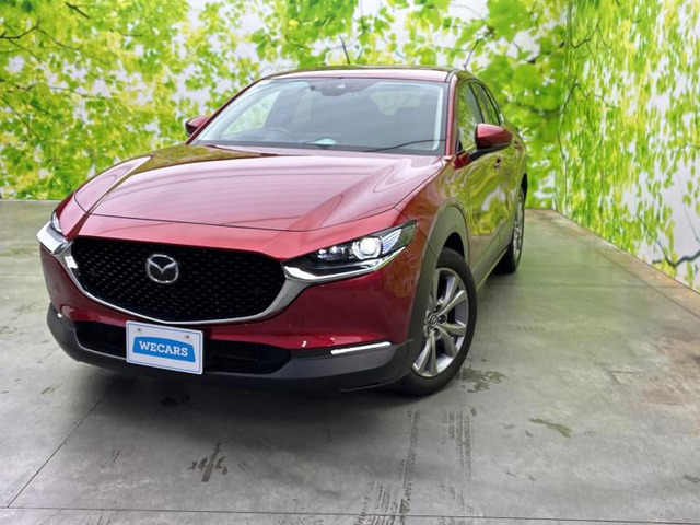 CX-302.0 20S プロアクティブ