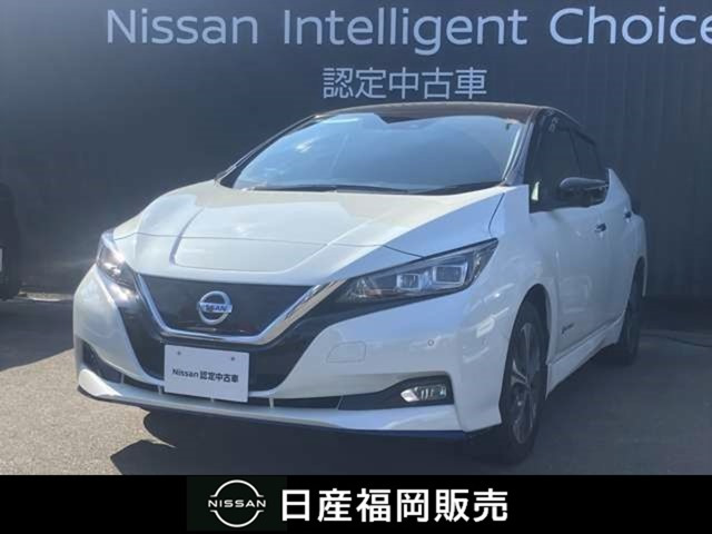 リーフe+ G