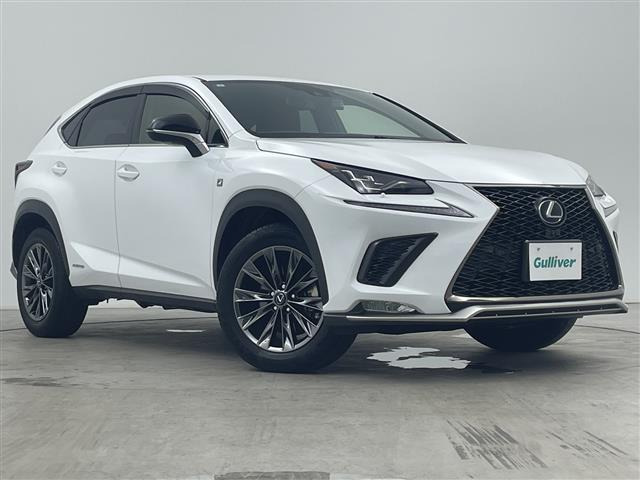 NX300h Fスポーツ