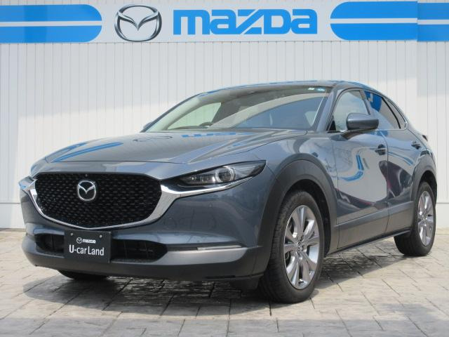 CX-301.8 XD Lパッケージ