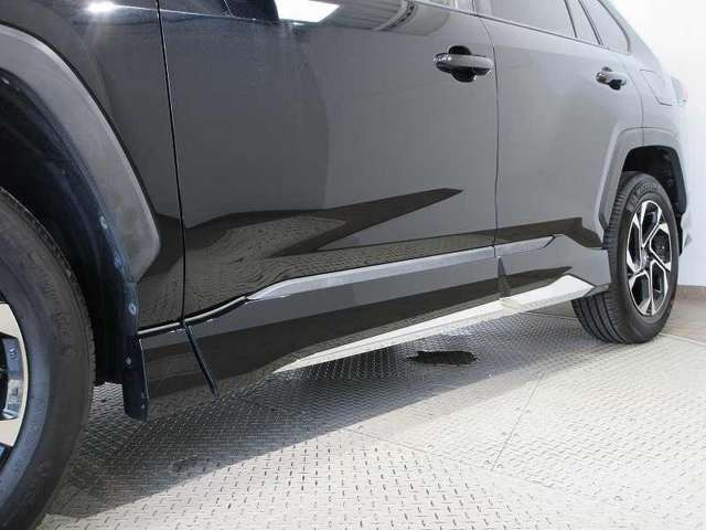 RAV42.0 X
