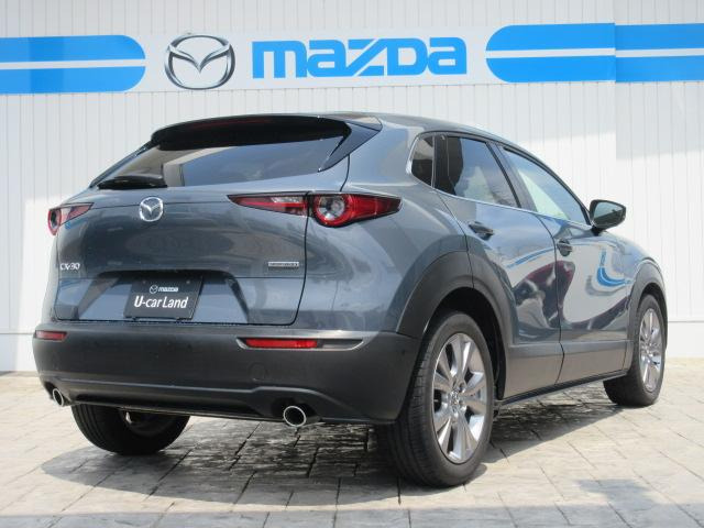 CX-301.8 XD Lパッケージ