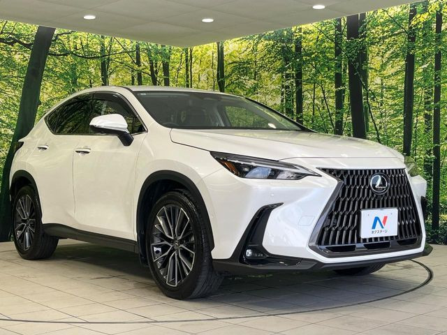 �������x�̃K���X�疌�ŝ����͂������A�㎿�ȃc���E����������B���O����_���J�����؂Ȉ��Ԃ�ی삵�A�F�����E�򉻂�h�~�B�u�e�X�v���b�V���R�[�g�v�A�u�e�v���~�b�T�R�[�g�v���炨�I�т��������܂��B