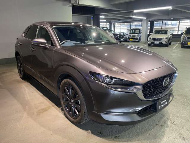 CX-302.0 20S プロアクティブ